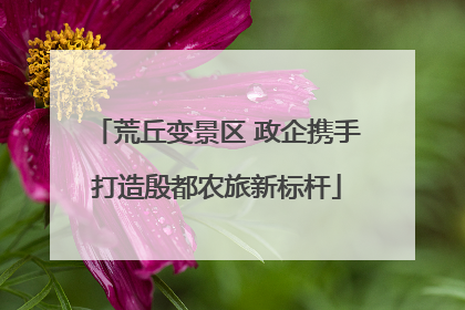 荒丘变景区 政企携手打造殷都农旅新标杆